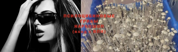 шишки Алзамай