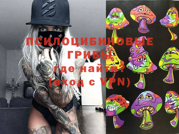 шишки Алзамай