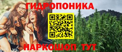 спиды Брянск