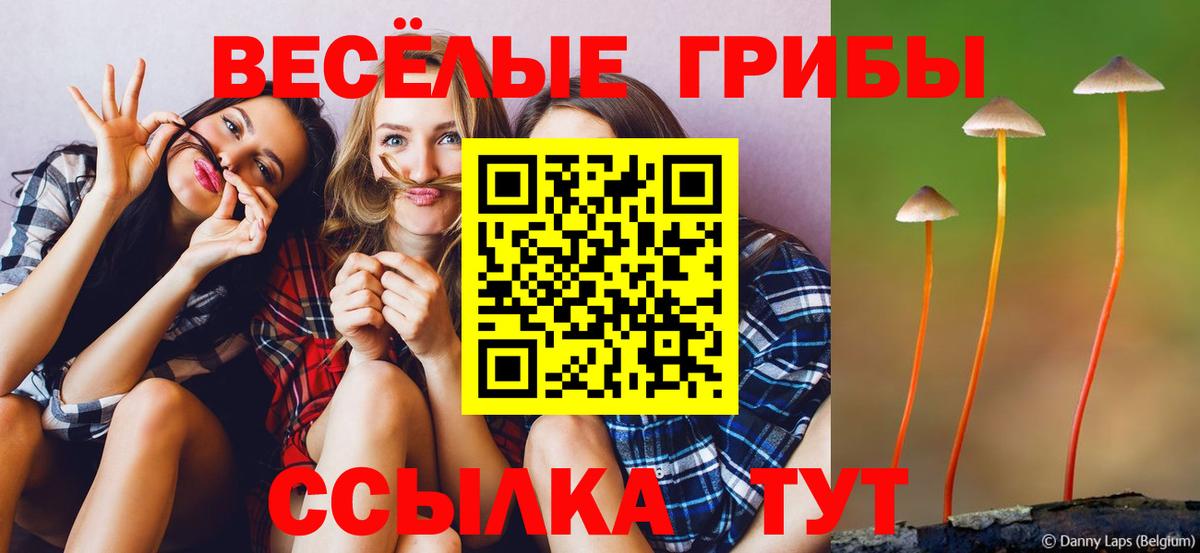 Галлюциногенные грибы Psilocybe Белорецк